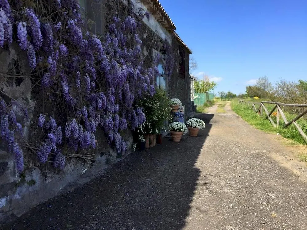 Agriturismo Oasi Dell'Etna Βίλα Mascali 0*,  Ιταλία