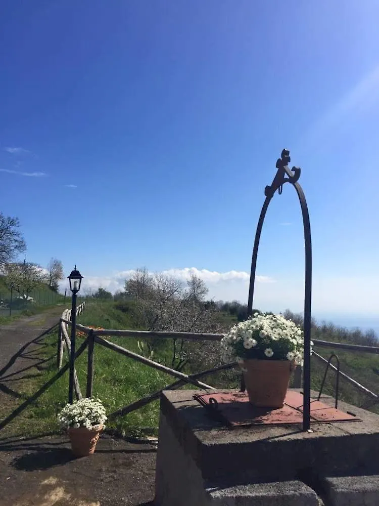 Agriturismo Oasi Dell'Etna Βίλα Mascali Κατάλυμα σε φάρμα